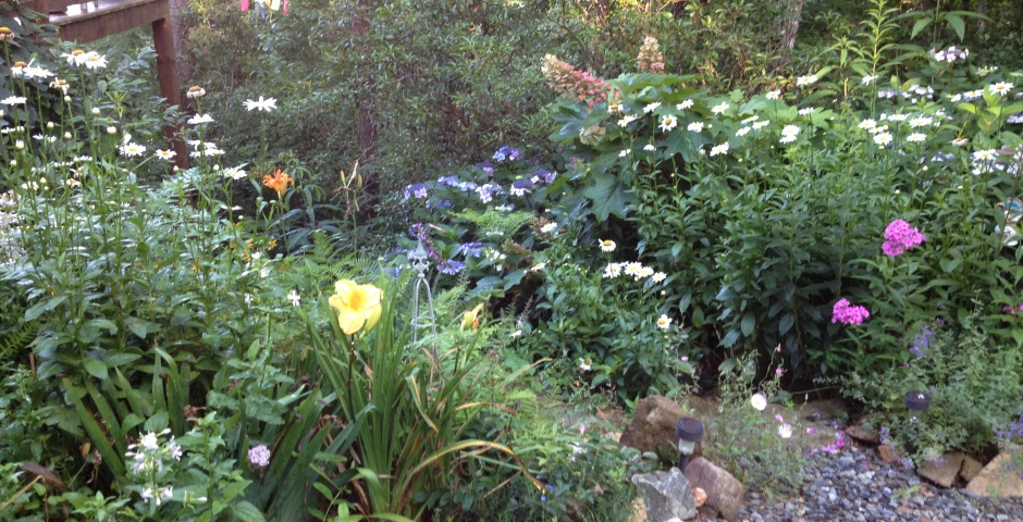 a mix of perennials in full bloom